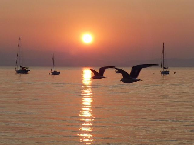 Le Surplage Hyères Exteriér fotografie